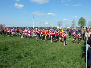 九游娱乐-世界青少年滑板锦标赛吸引众多新锐少年，2021青少年滑板锦标赛