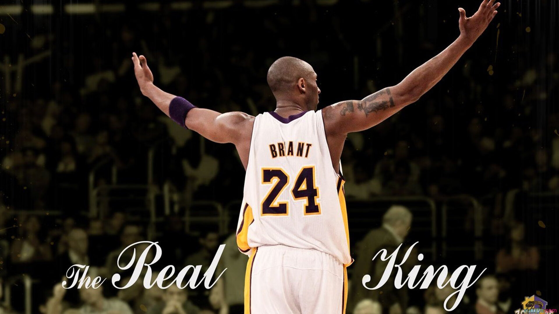 历史长河:那些跨世纪的经典篮球时刻,上世纪篮球